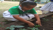 Water Conservation week